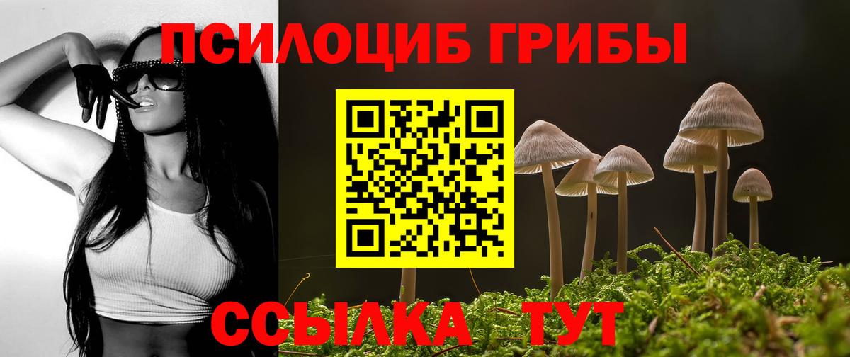 Псилоцибиновые грибы GOLDEN TEACHER  Вход с VPN  дарнет шоп  Углич 